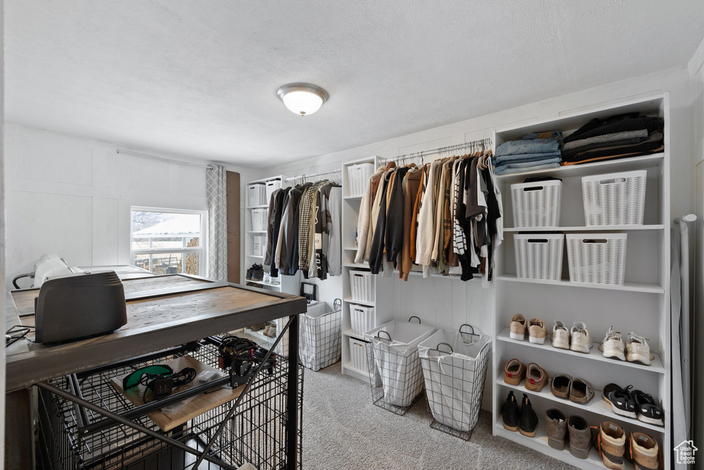 Spacious closet featuring carpet floors