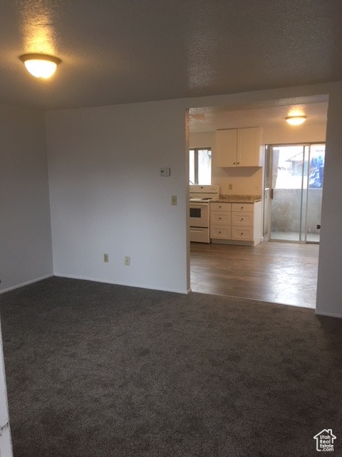 Unfurnished room featuring a textured ceiling and carpet