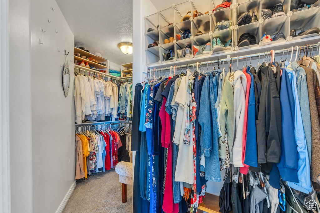 Spacious closet featuring carpet floors