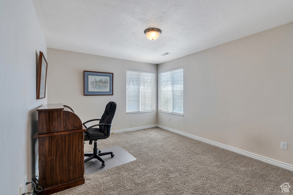 Carpeted office space with visible vents, baseboards, and a textured ceiling