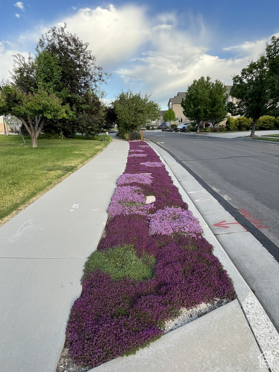 View of road featuring sidewalks