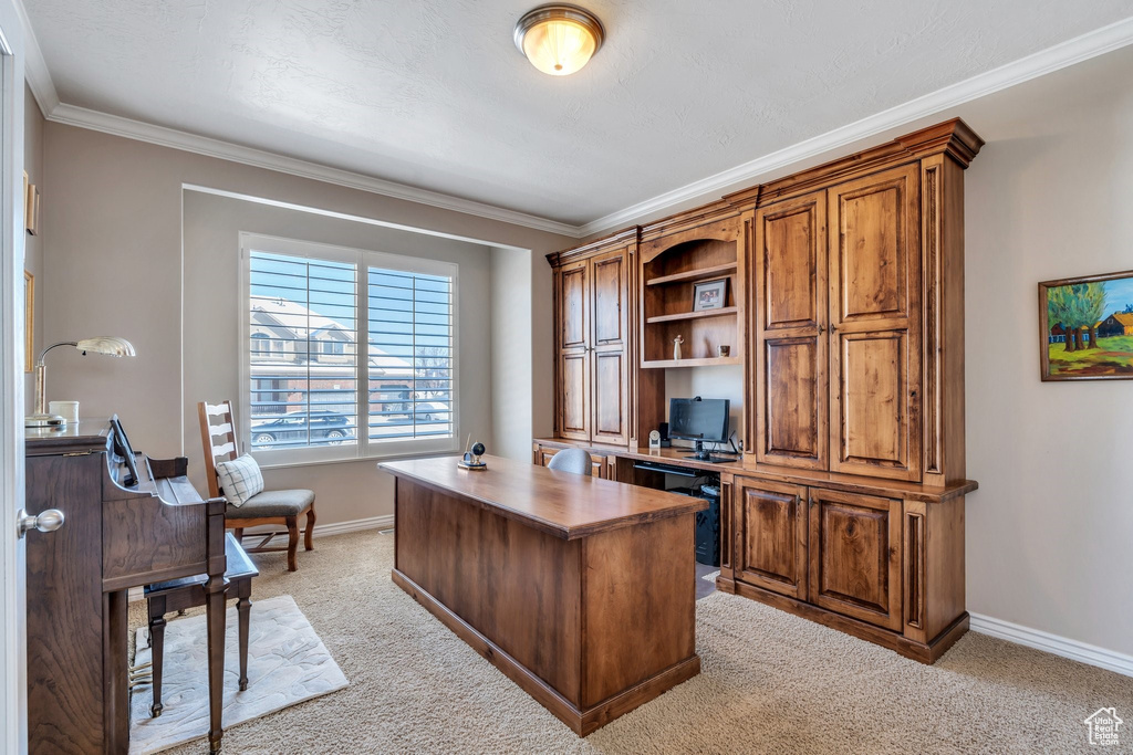 Office with crown molding, baseboards, and light colored carpet