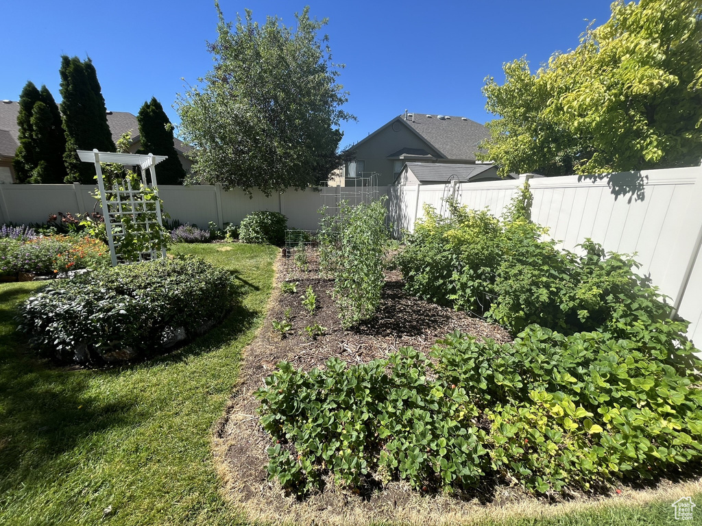 View of yard featuring a fenced backyard