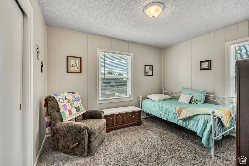 Carpeted bedroom with multiple windows and a textured ceiling