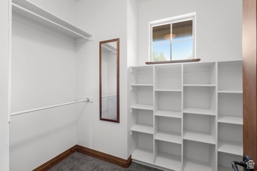 Spacious closet featuring dark colored carpet
