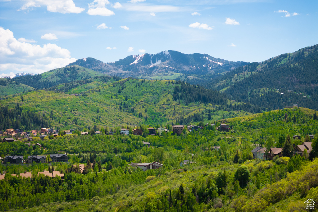 View of mountain backdrop featuring a heavily wooded area