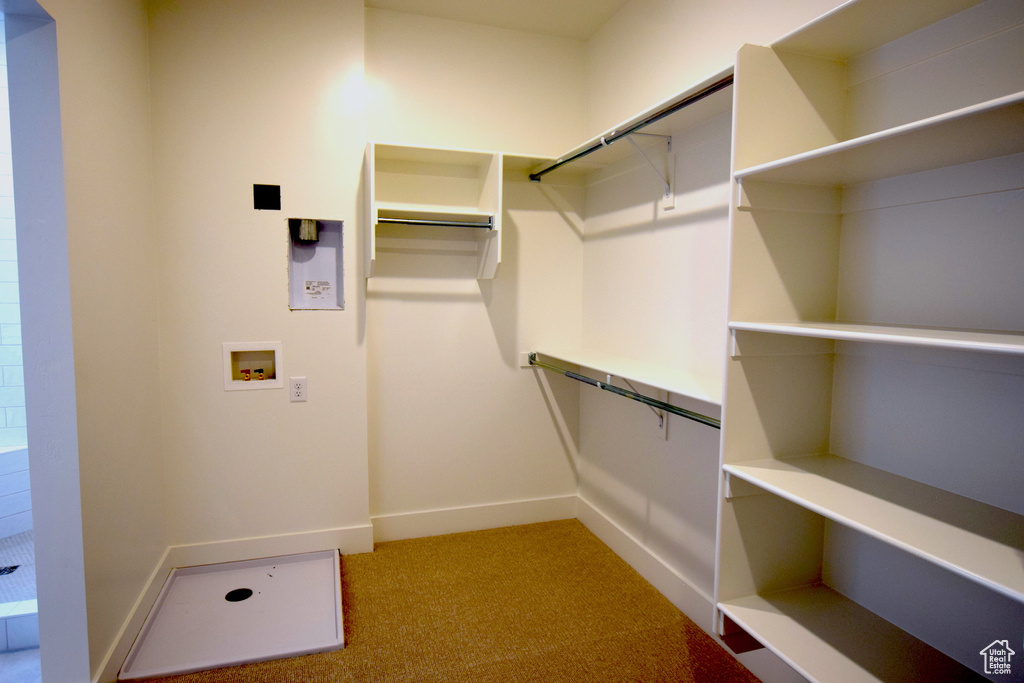 Spacious closet featuring carpet