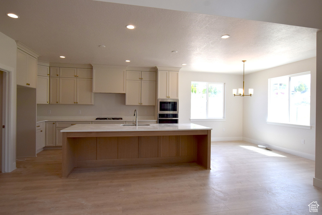 Kitchen featuring baseboards, light wood finished floors, recessed lighting, stainless steel appliances, and a center island with sink