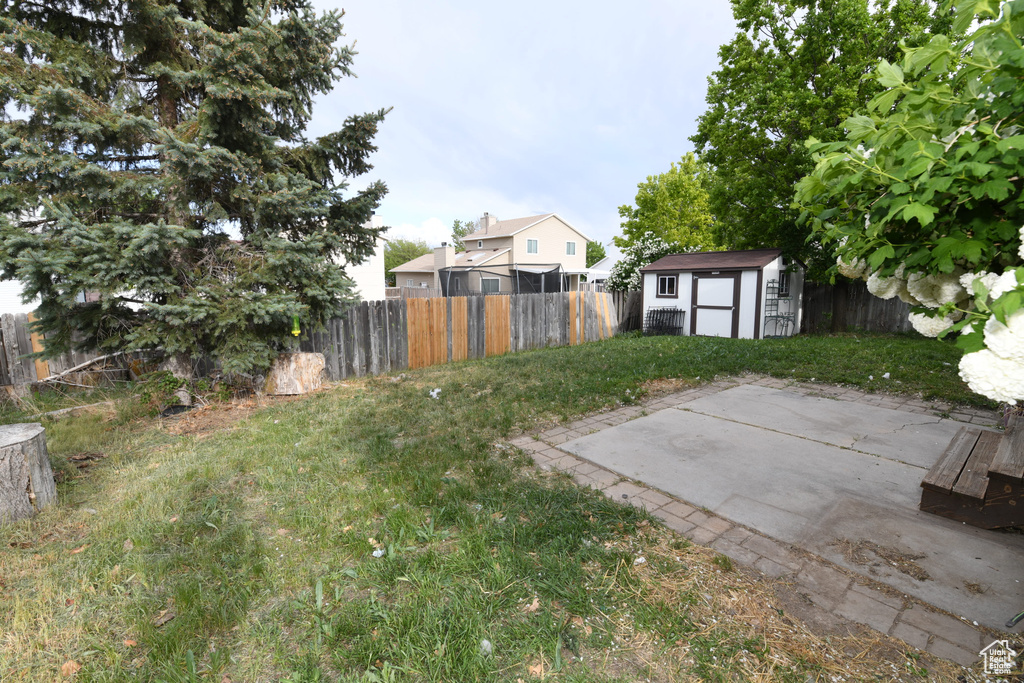 View of yard featuring a shed, an outbuilding, and a patio
