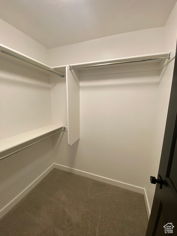 Walk in closet featuring dark carpet