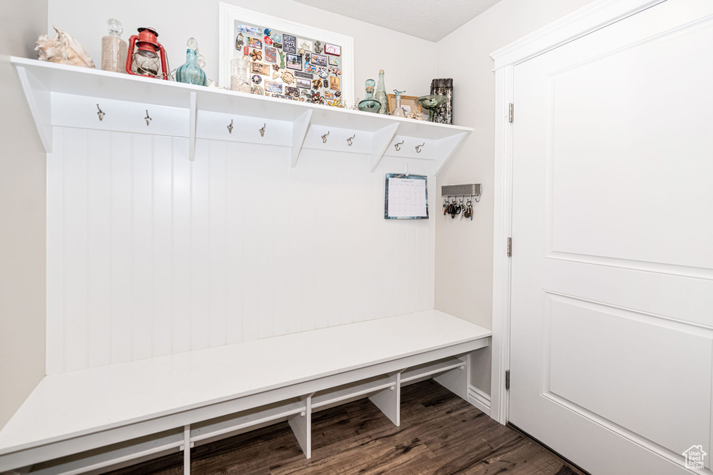 Mudroom featuring dark wood-style flooring