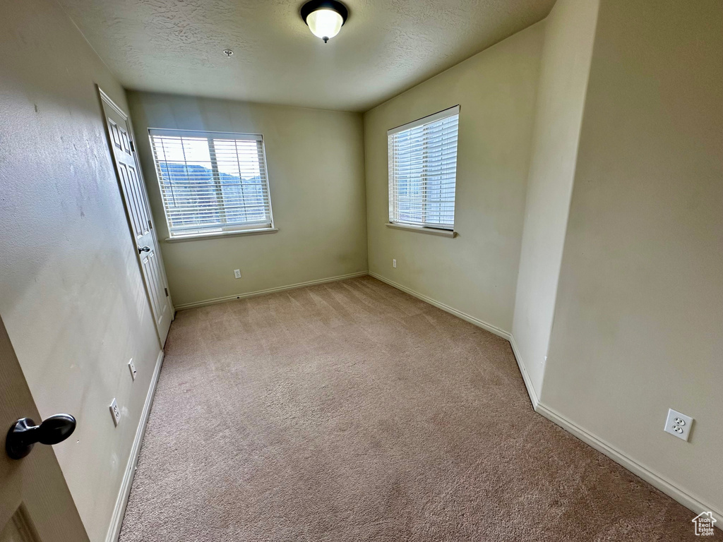 Unfurnished room with light colored carpet, baseboards, and a textured ceiling