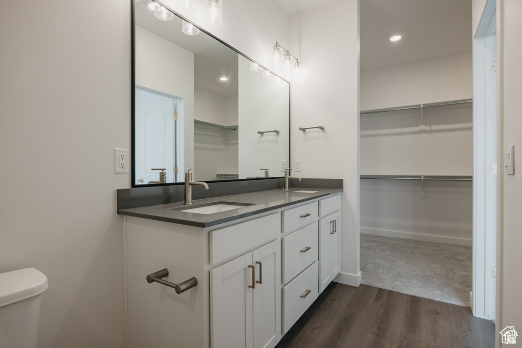 Bathroom featuring a sink, a walk in closet, wood finished floors, and double vanity