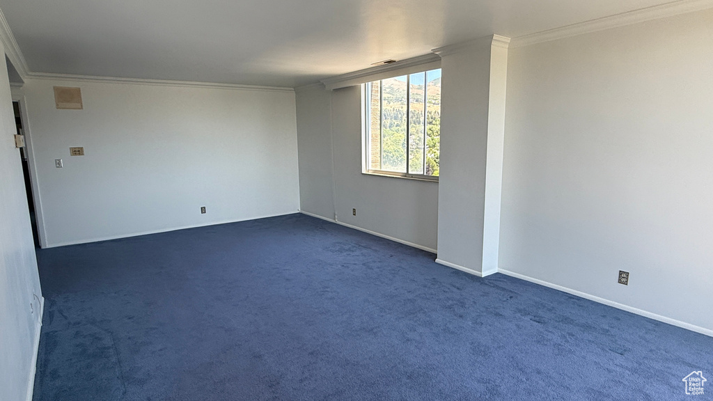 Unfurnished room with crown molding, baseboards, and dark colored carpet
