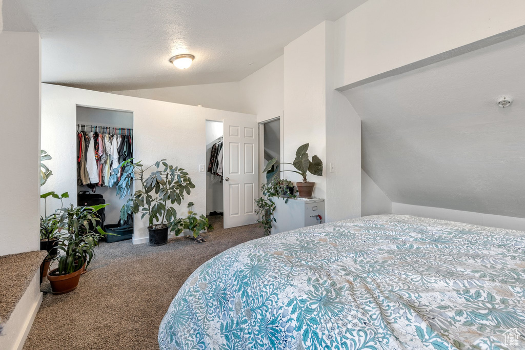 Bedroom with a closet, carpet floors, a walk in closet, and vaulted ceiling