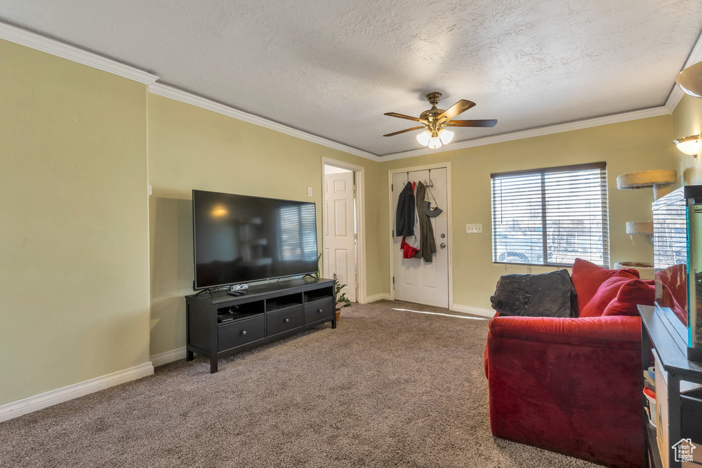 Carpeted living room featuring baseboards, a textured ceiling, crown molding, and ceiling fan