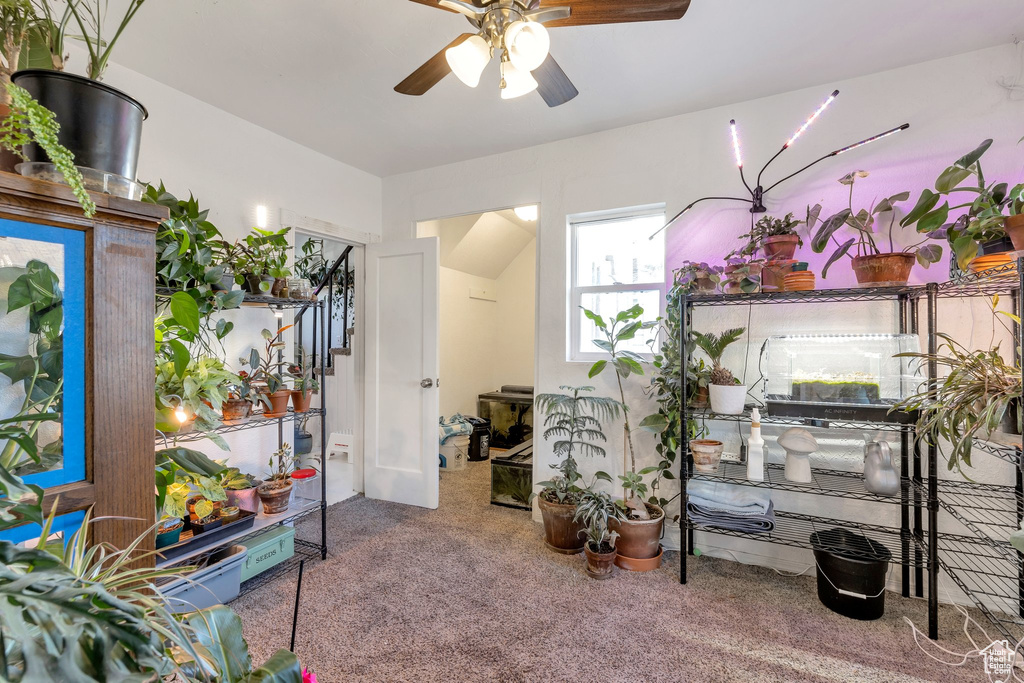 Interior space with a ceiling fan, stairway, and carpet