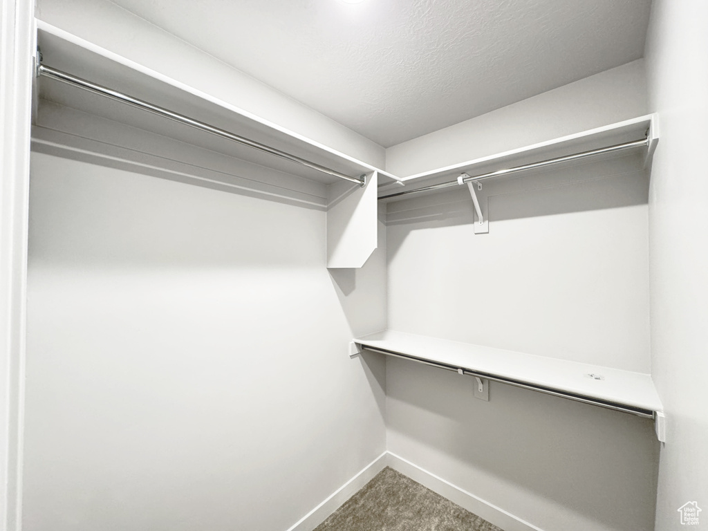 Walk in closet with carpet floors
