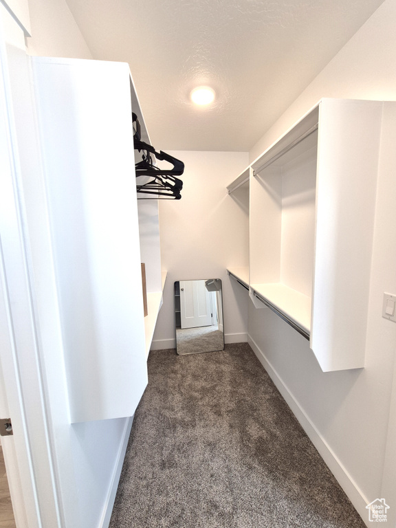 Spacious closet featuring carpet flooring