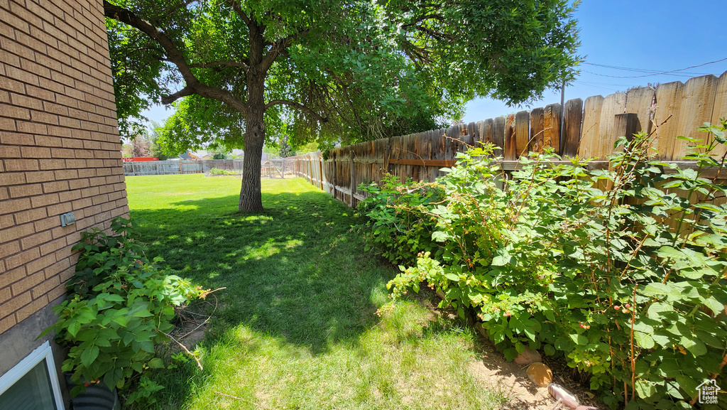 View of fenced backyard