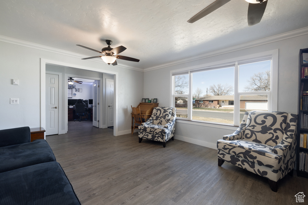 Living room featuring wood finished floors, a ceiling fan, and crown molding