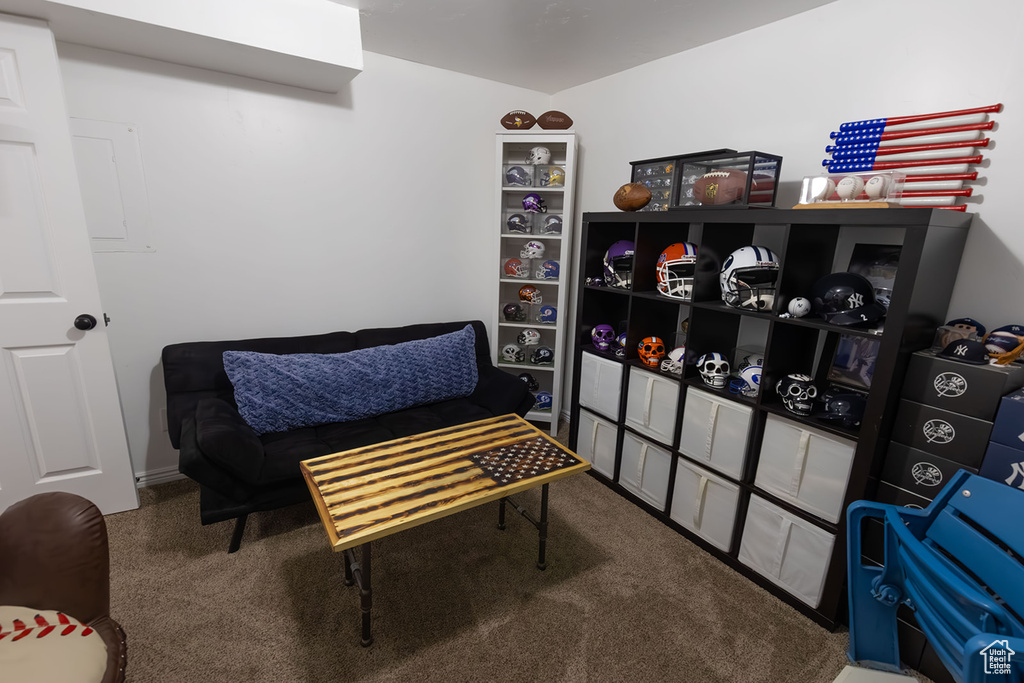 Living area featuring carpet