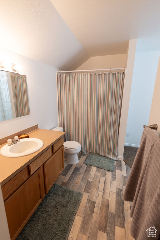 Bathroom featuring toilet, wood finished floors, vanity, and vaulted ceiling