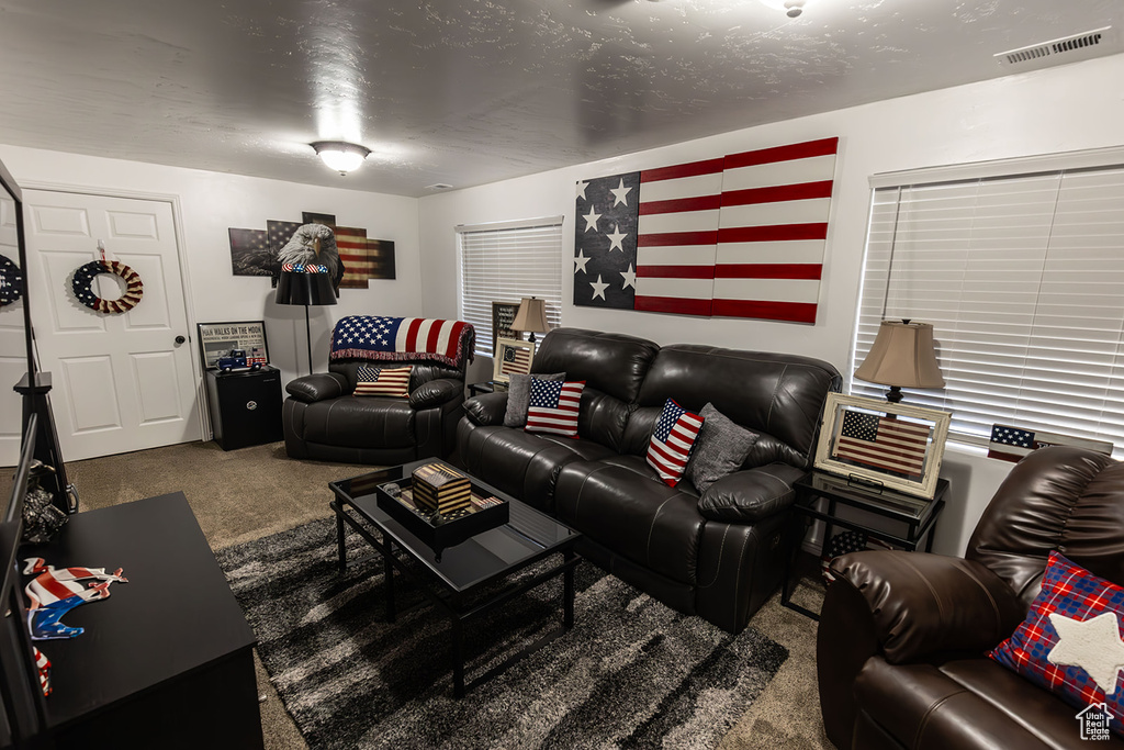Living area featuring visible vents, a textured ceiling, and carpet floors