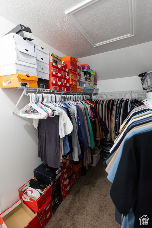 Spacious closet featuring carpet flooring and attic access