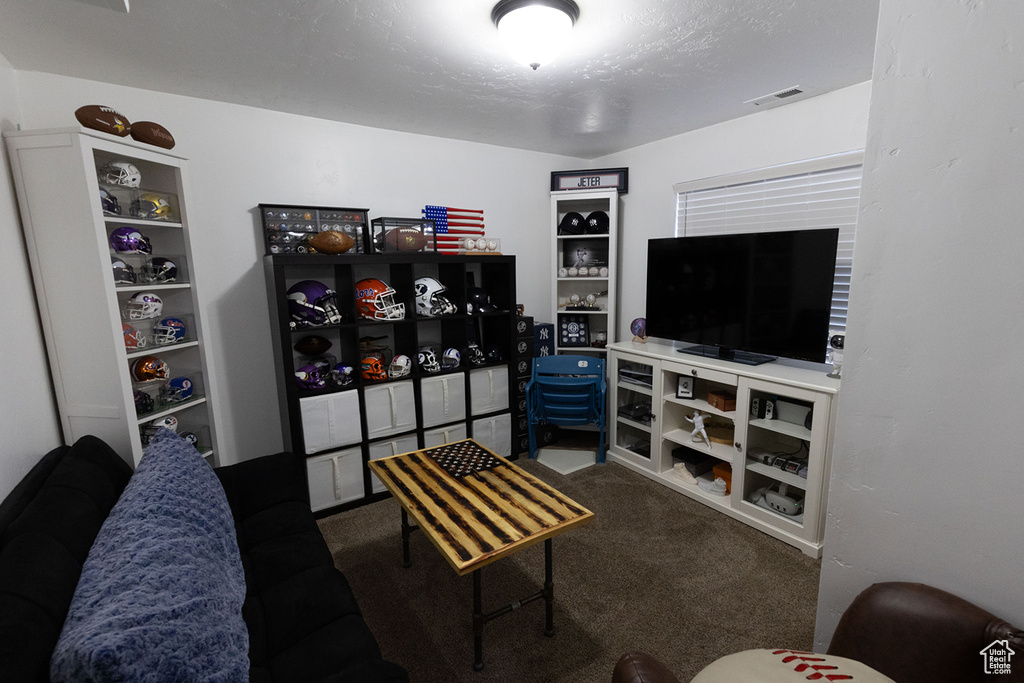 Interior space featuring visible vents, a textured ceiling, and carpet floors