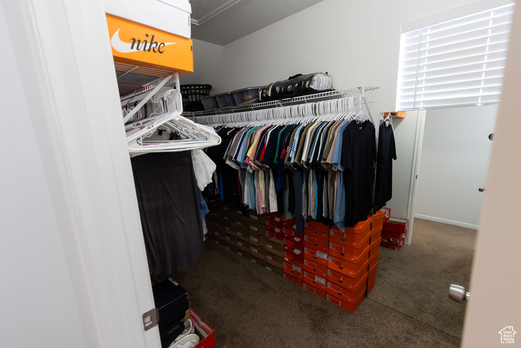 Walk in closet featuring carpet floors