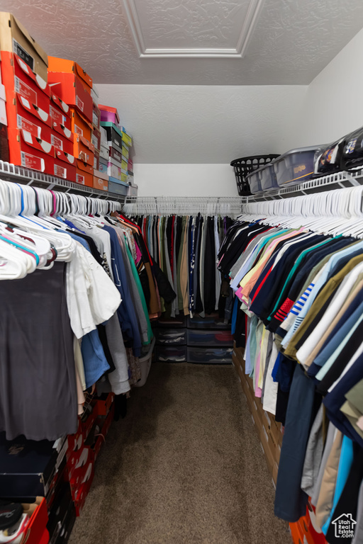 Spacious closet featuring attic access and carpet flooring