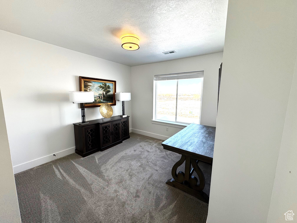 Carpeted home office with visible vents, a textured ceiling, and baseboards