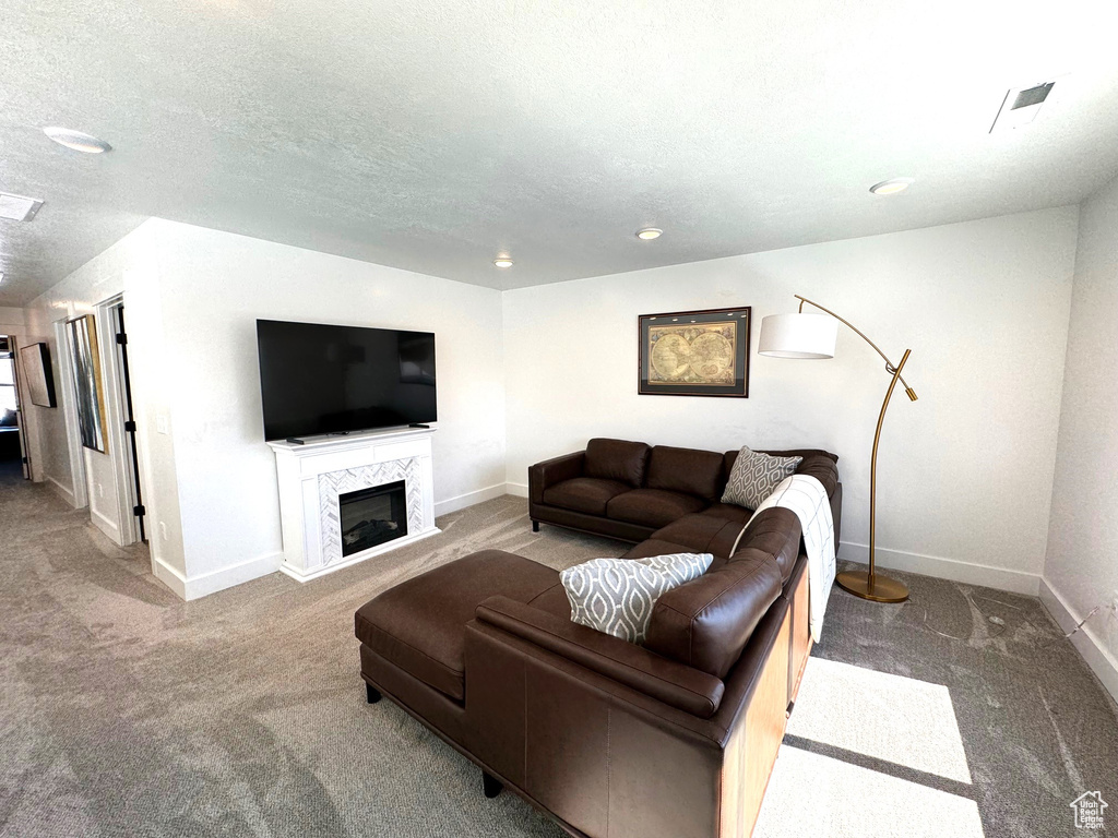 Living area featuring carpet flooring, baseboards, visible vents, and a textured ceiling