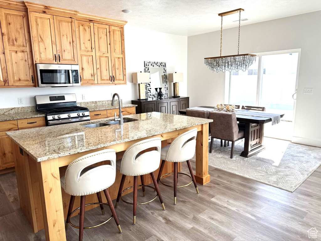 Kitchen with a sink, a breakfast bar area, light wood-style floors, and stainless steel appliances