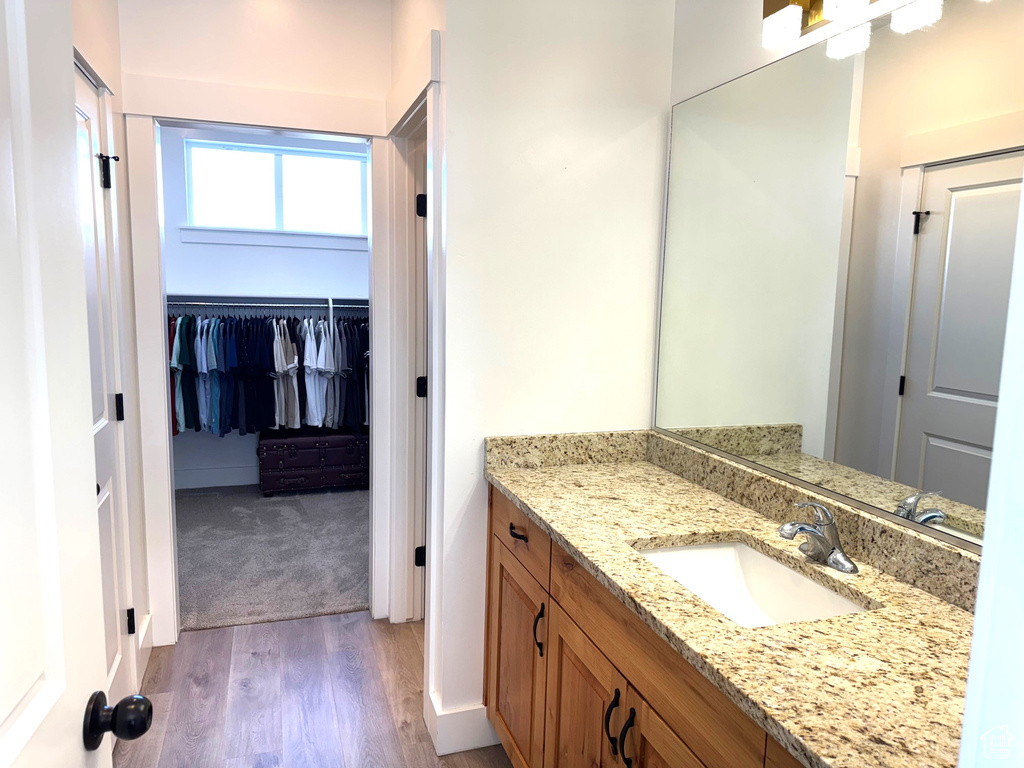 Bathroom with wood finished floors and vanity