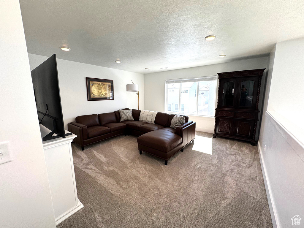 Living area featuring a textured ceiling and carpet