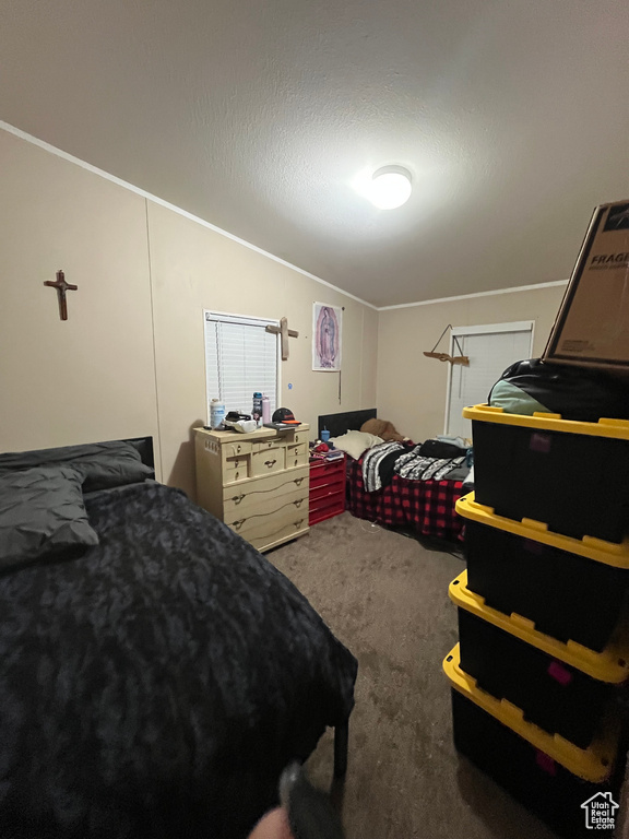 Bedroom with lofted ceiling, carpet flooring, and a textured ceiling