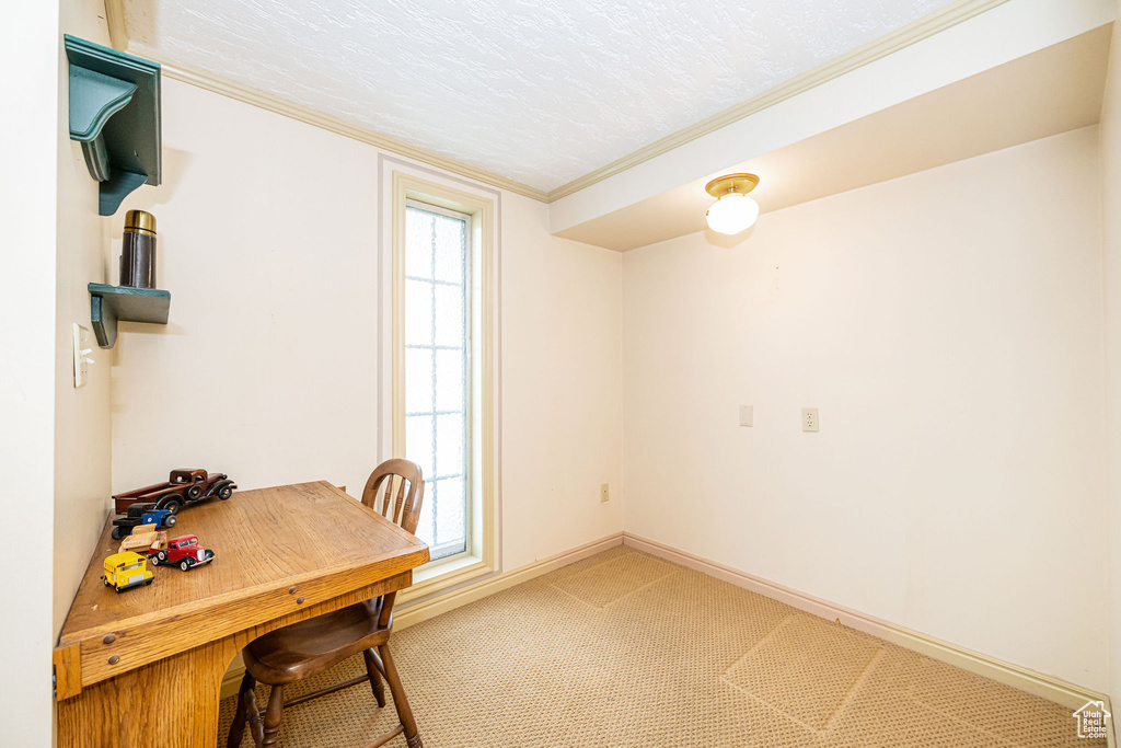 Home office featuring crown molding, baseboards, and light colored carpet