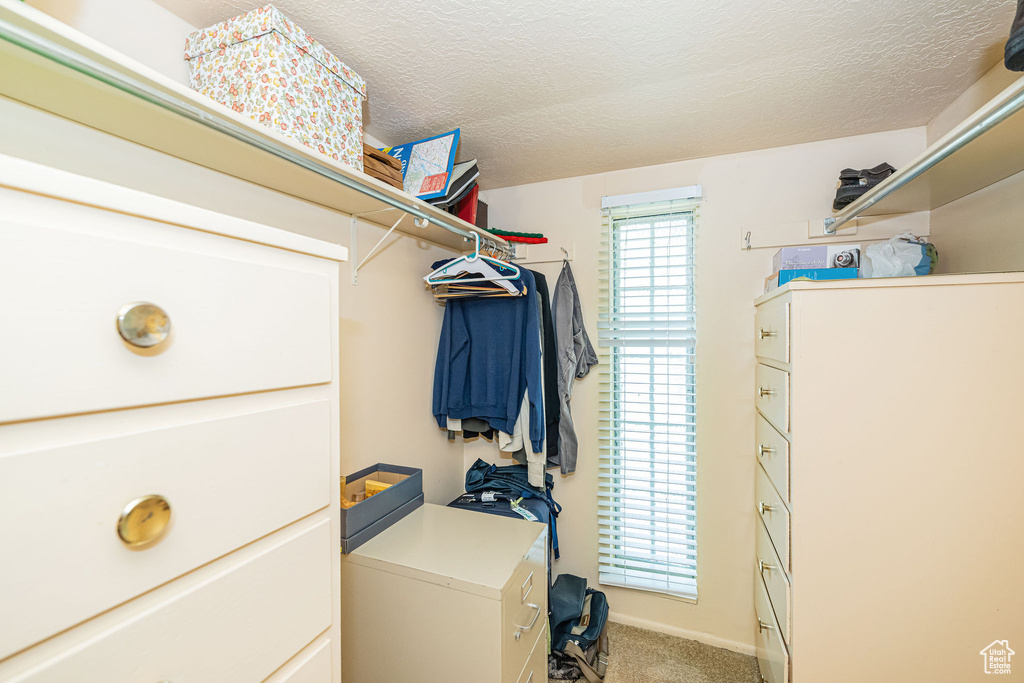 Walk in closet featuring light colored carpet