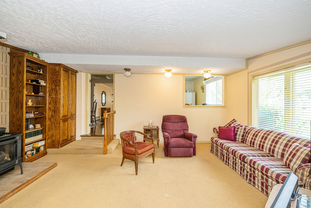 Living area with a wood stove, light colored carpet, and a textured ceiling