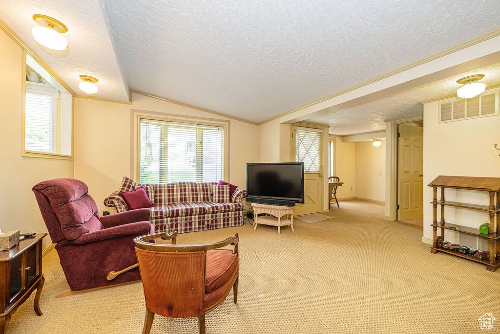 Living room with a textured ceiling, light carpet, vaulted ceiling, and baseboards