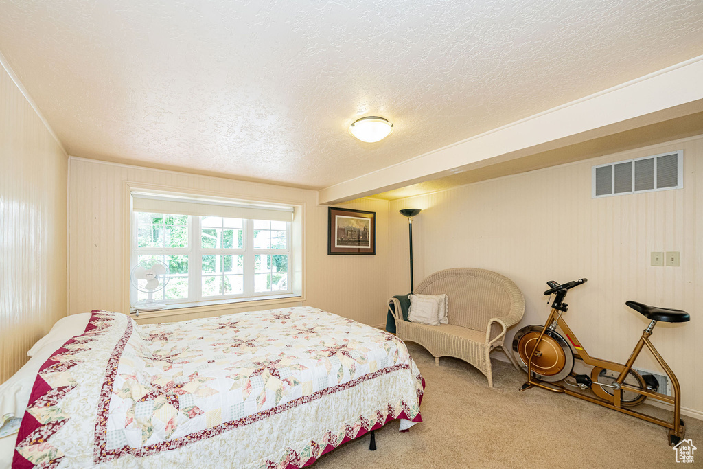 Bedroom with carpet flooring and a textured ceiling