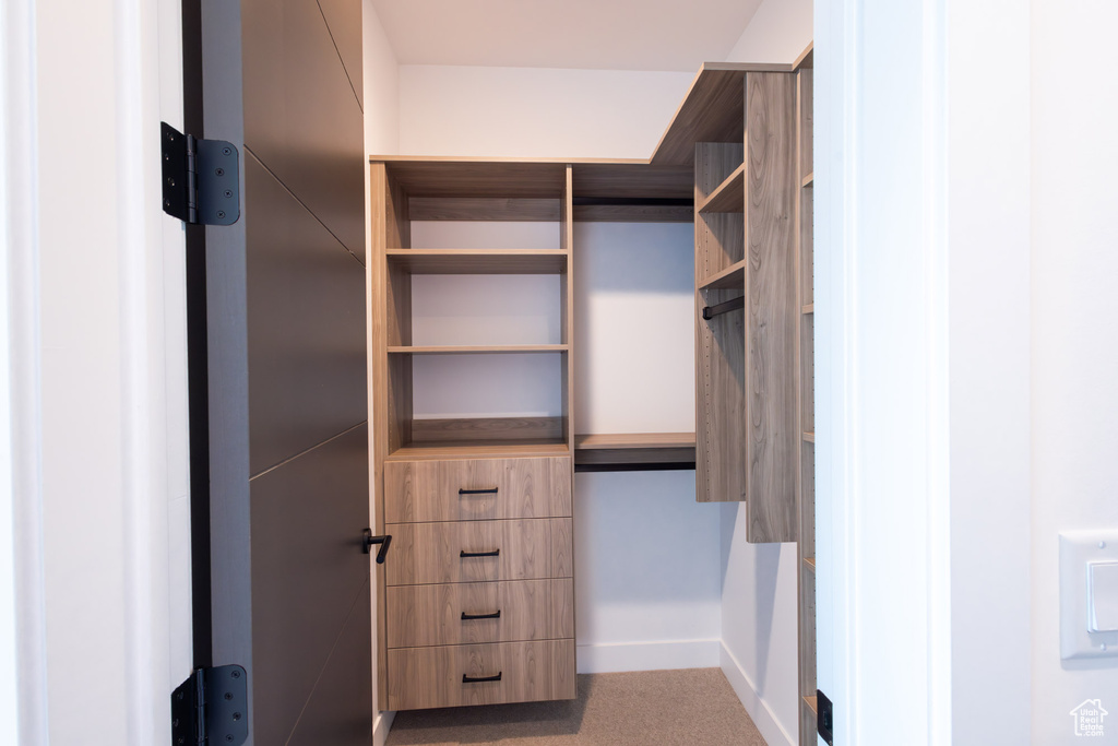 Walk in closet featuring carpet floors