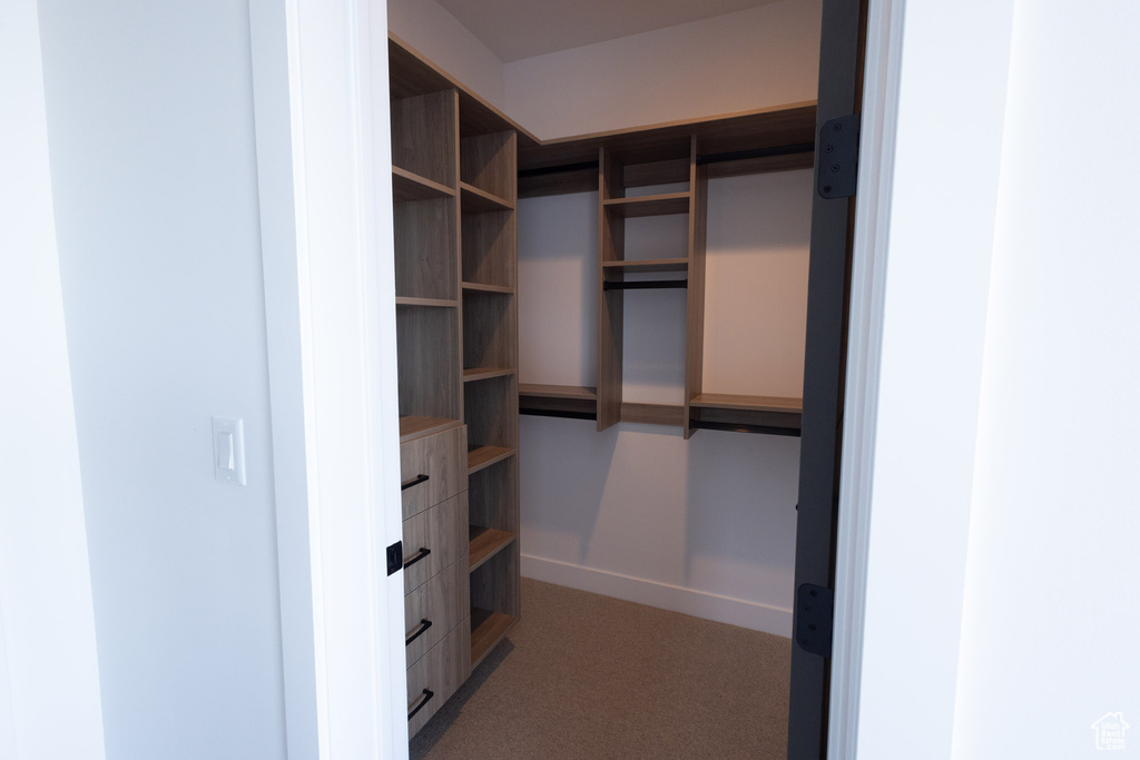 View of walk in closet