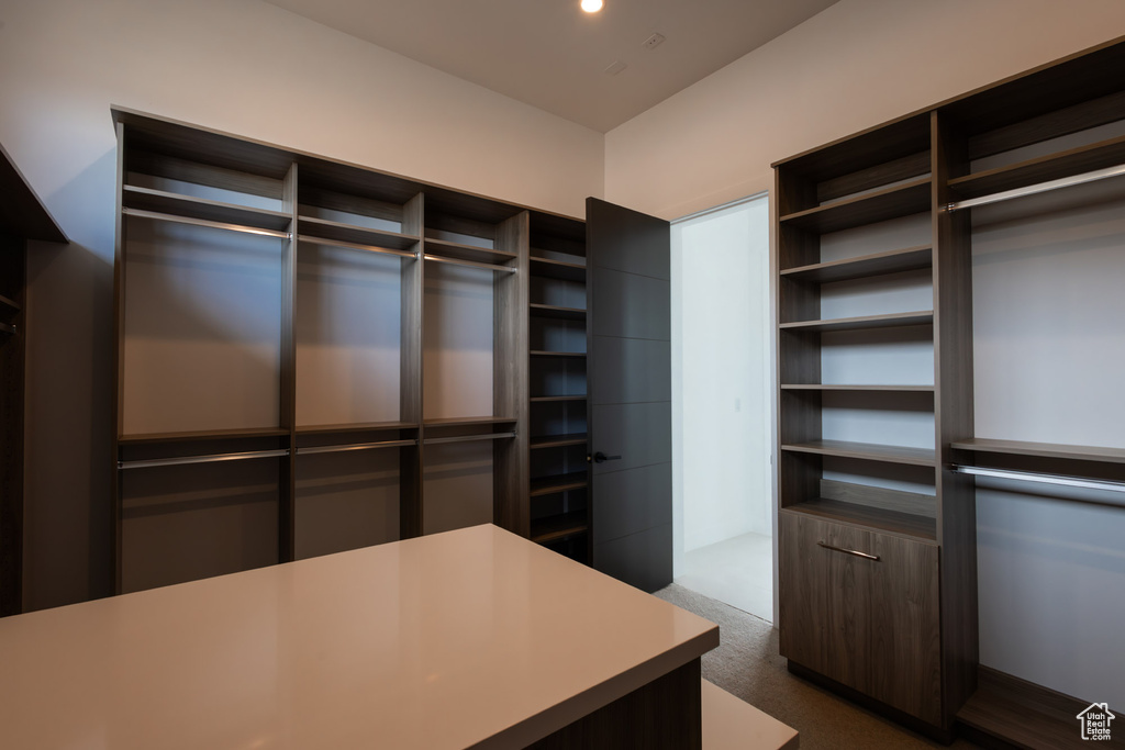 Spacious closet with dark colored carpet