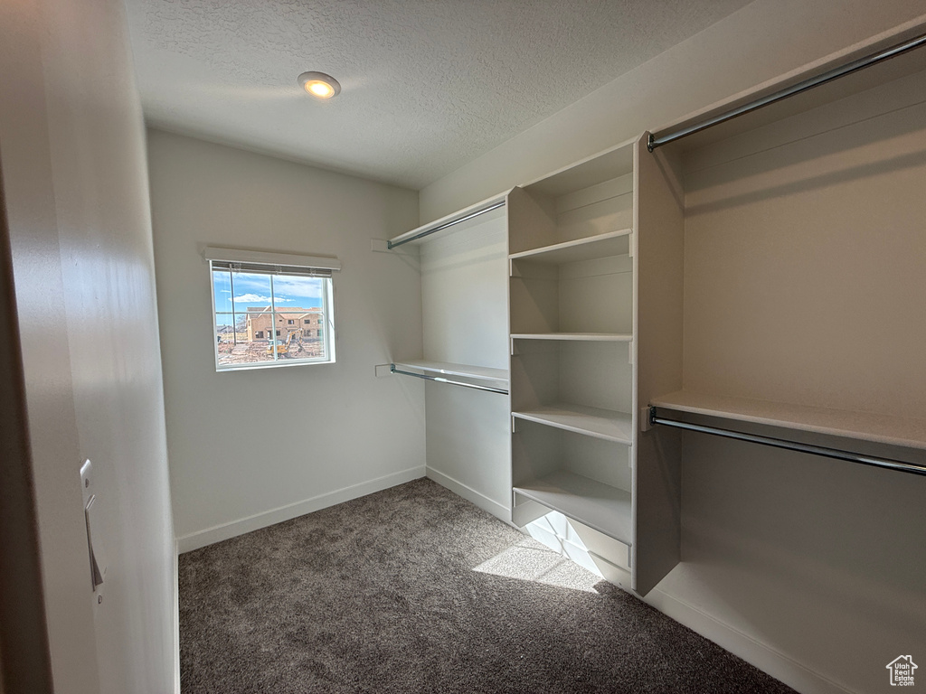 Spacious closet featuring light colored carpet