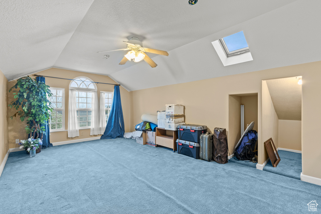 Additional living space with carpet floors, a textured ceiling, baseboards, and vaulted ceiling with skylight