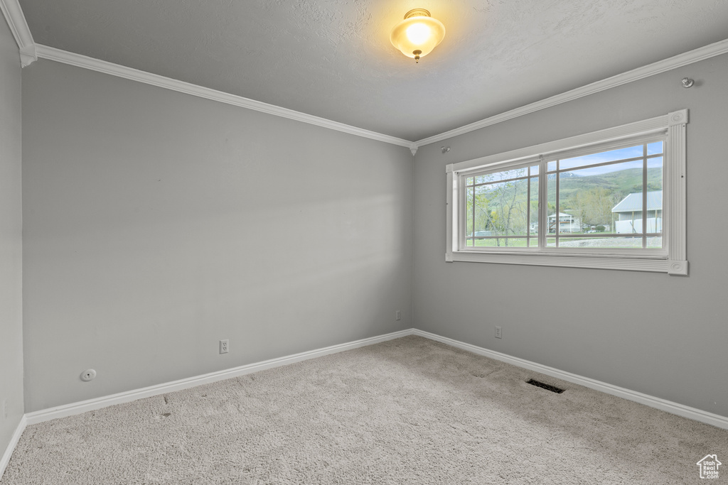 Carpeted spare room with crown molding, baseboards, and visible vents