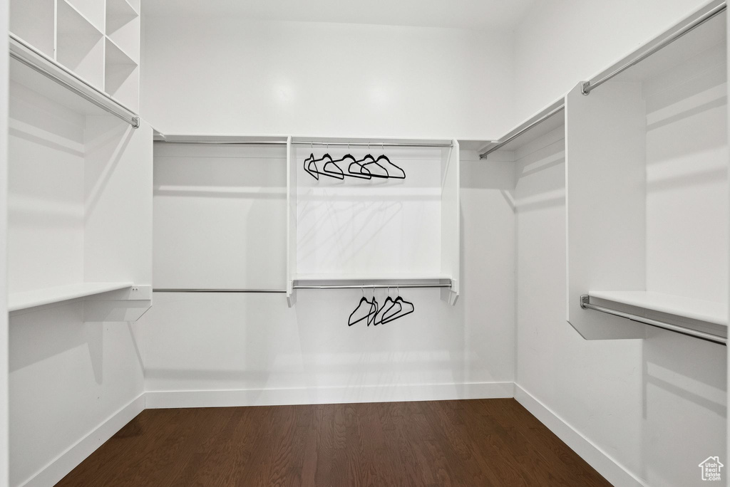 Walk in closet with dark wood-type flooring